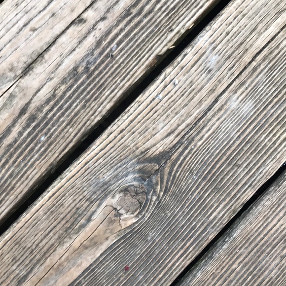 Meet your Posher, Daniel - Picture 1 of 1